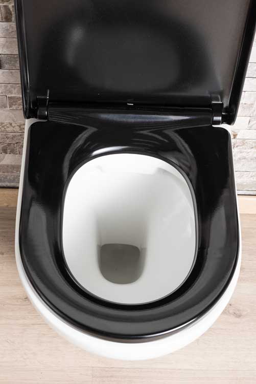 Toilette suspendue Gary sans rebord blanc raccourcie avec siège de WC softclose noir