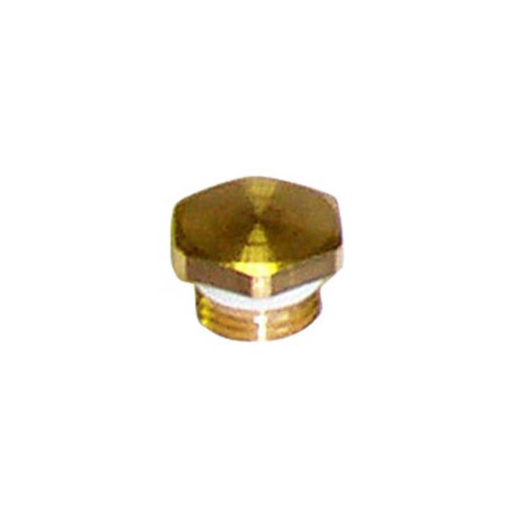 Bouchon purgeur 1/4M