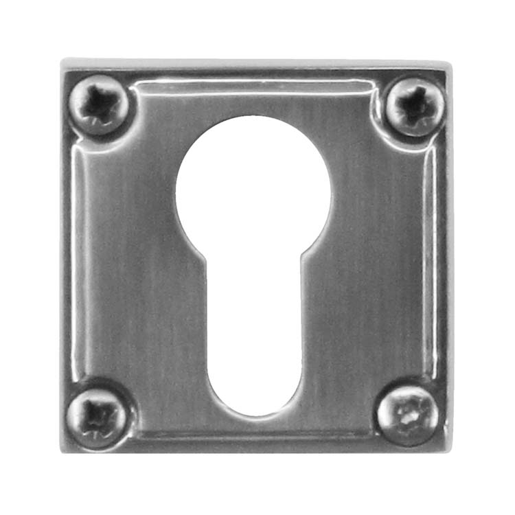 Plaque cylindre pro prato look inox
