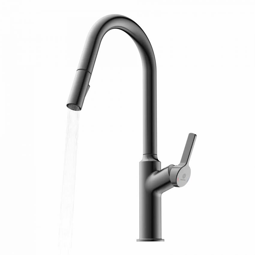 Robinet de cuisine Wasserwerk WK 12 graphite mat avec bec extractible