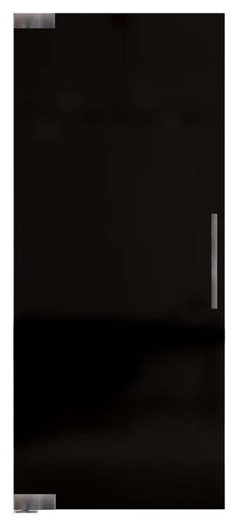 Porte vitrée pivotante 10mm black + système pivot en inox - sur mesure