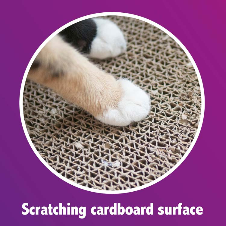 Planche à griffer pour chat