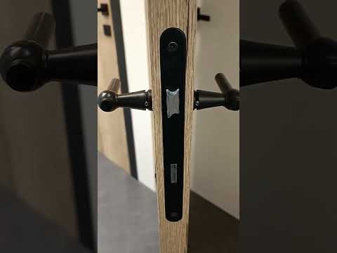 Porte intérieure complète Realwood Oak 201,5x78cm aggloméré tubulaire réversible + châssis 20cm