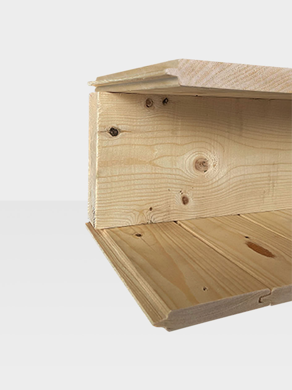 Studio de jardin Amelia L + terrasse bois de pin naturel 770x300x236cm double porte