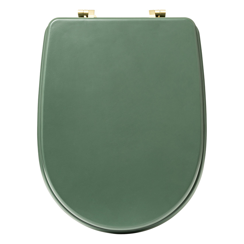Siège de toilettes Solane vert