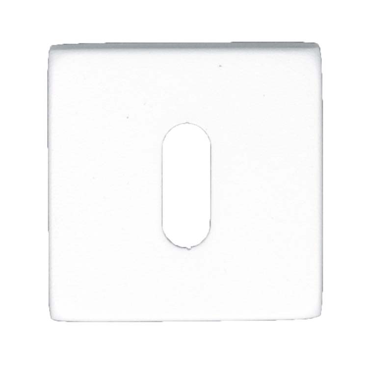 Entrée de clé pro carré blanc