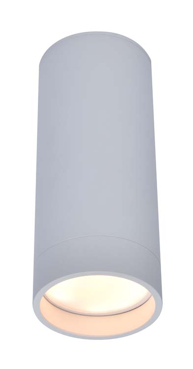 Slimme plafondspot rond 4.7W Wit LED incl.