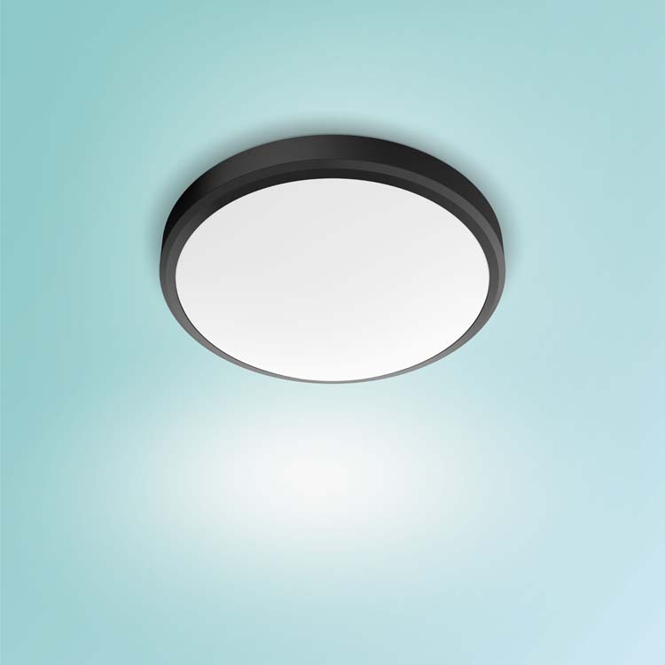 Plafondlamp Zwart 17W 2700K IP44