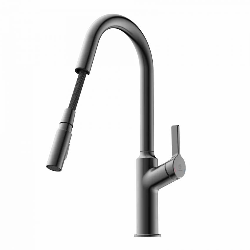 Robinet de cuisine Wasserwerk WK 12 graphite mat avec bec extractible