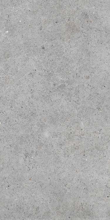 Carrelage de sol et mural Hermis gris clair 30x60cm