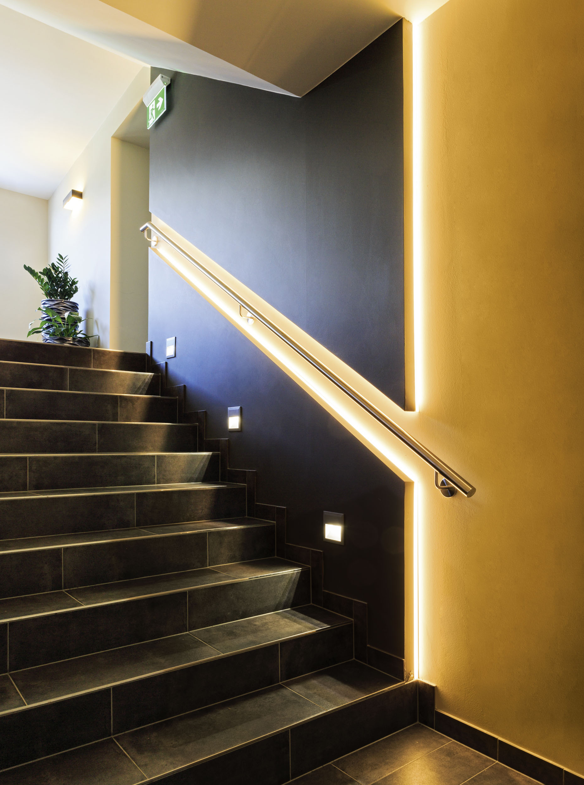 Ruban LED RGBW 5m IP20