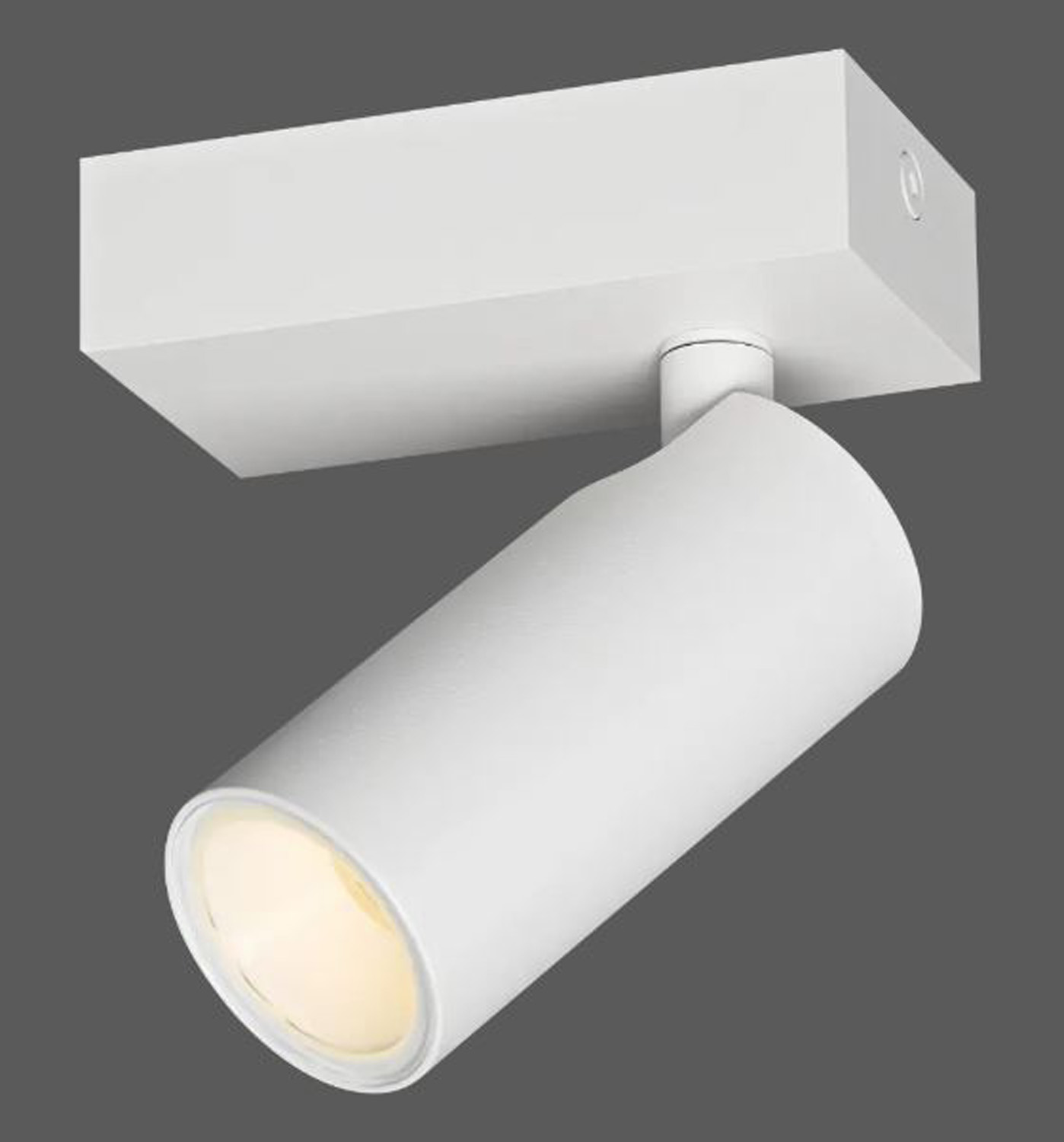 Opbouwspot - mat wit - 9,5x5x13,1cm - 1xGU10 (MR11) max. 10W - IP44 - excl. lichtbronnen