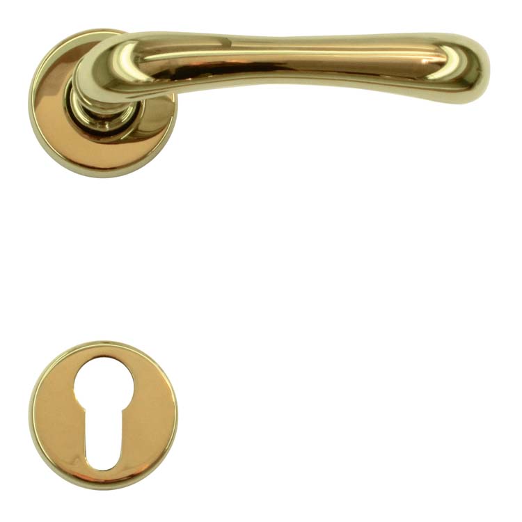 Poignée de porte pro pisa titanium rosace cylindre