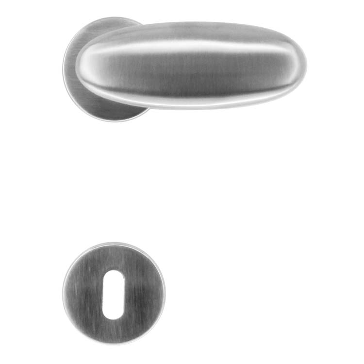 Poignée de porte pro lecce modèle nouveau look inox rosace barbe