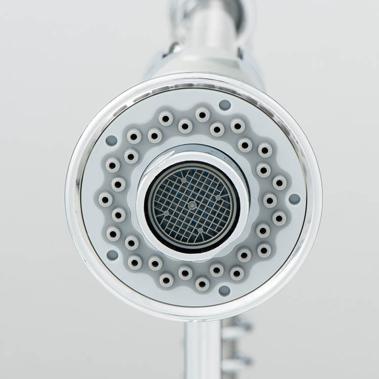 Robinet de cuisine Charlotte chrome spiraalveer