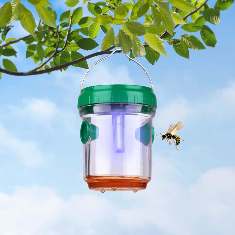 Wespenval met solarlamp 3 stuks