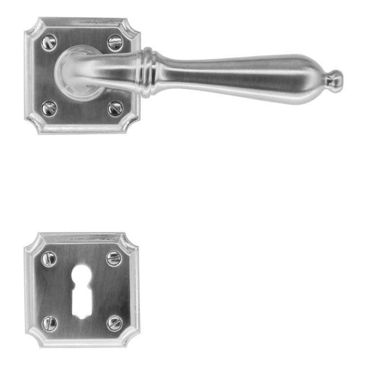 Poignée de porte roselle look inox rosace barbe