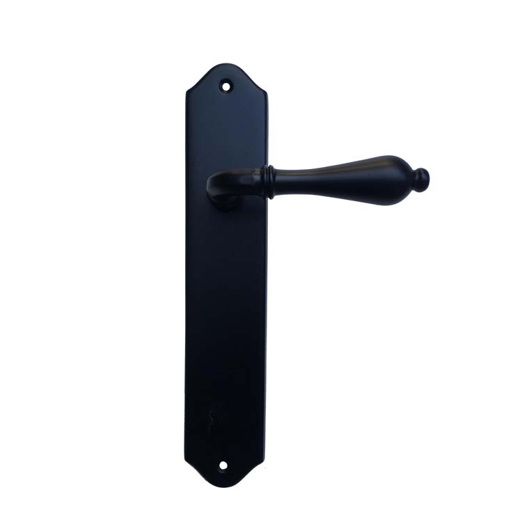 Poignée de porte pro roselle noir sur bouclier sans cylindre
