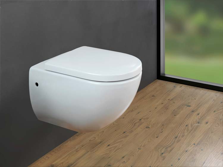 Siège de toilette Wenko Exclusive nr1 soft-close blanc Siège de toilette Wenko Exclusive nr1 soft-close blanc