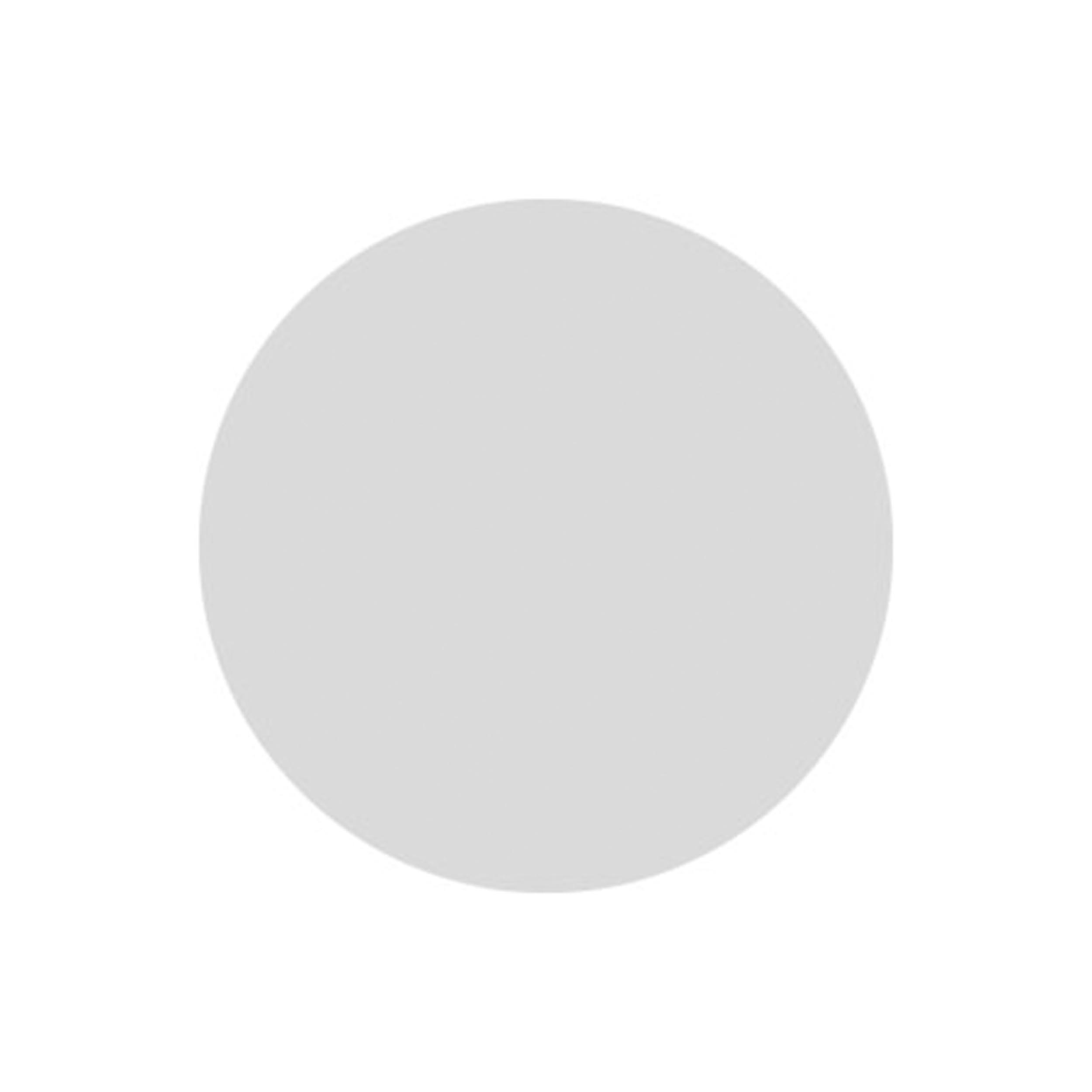 Glas rond mat 198mm dikte 4mm