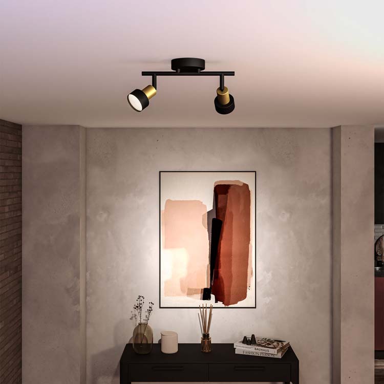 Opbouwspot - dimbaar - GU10 - 2x5W - excl lamp - zwart/goud
