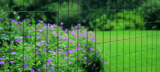 Tuindraad Eurowire Medium groen 25x1,8m