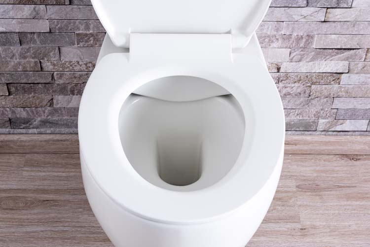 Hangtoilet Holly rimless mat wit
