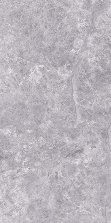 Carrelage de sol et mural Hampton imitation marbre argenté brillant 60x120cm