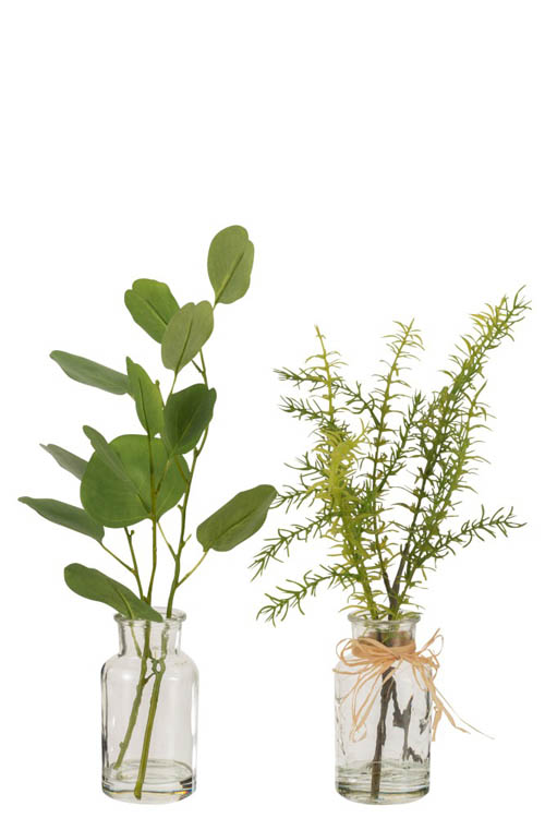 Tak in glas groen grote blaadjes H32 cm