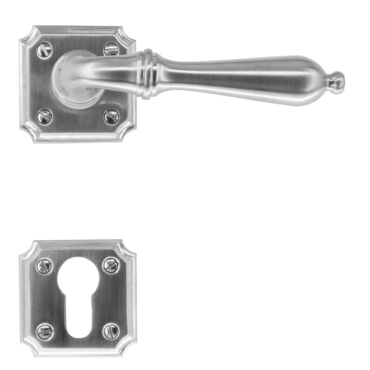 Poignée de porte roselle look inox rosace cylindre