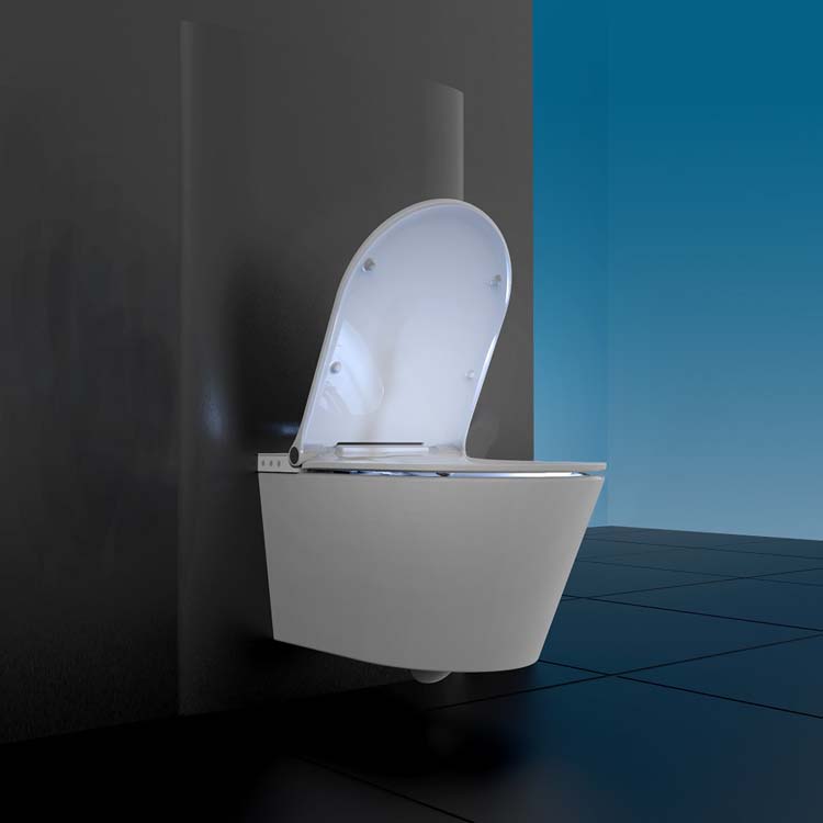 Douche wc incl soft-close wc-bril zonder spoelrand wit
