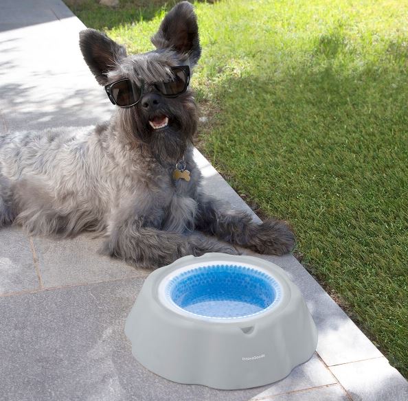 Bol pour animaux de compagnie avec élément réfrigérant 450 ml