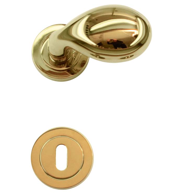 Poignée de porte pro bouleogna titanium rosace barbe