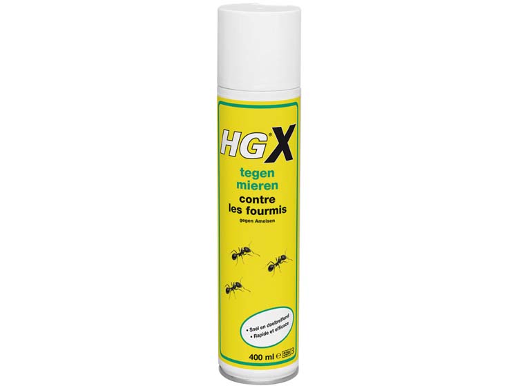 HG contre les fourmis