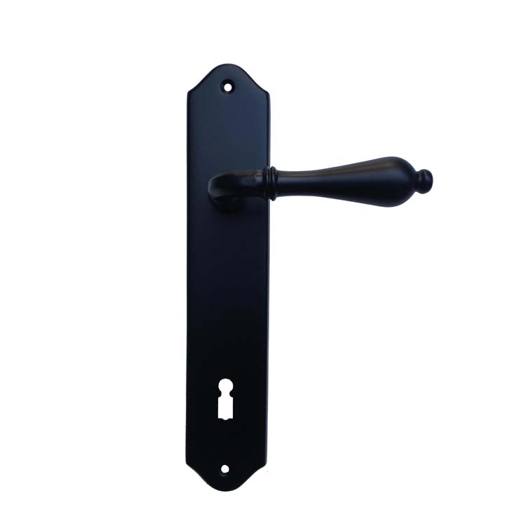 Poignée de porte pro roselle noir plaque