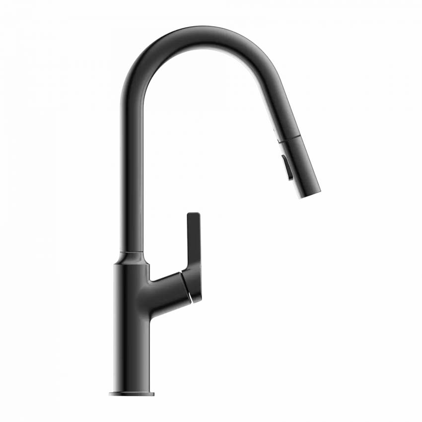Robinet de cuisine Wasserwerk WK 12 graphite mat avec bec extractible