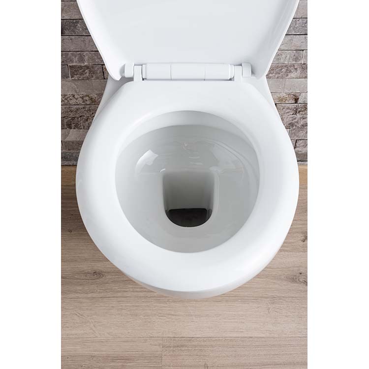 Hangtoilet Senne wit inclusief softclose WC-bril
