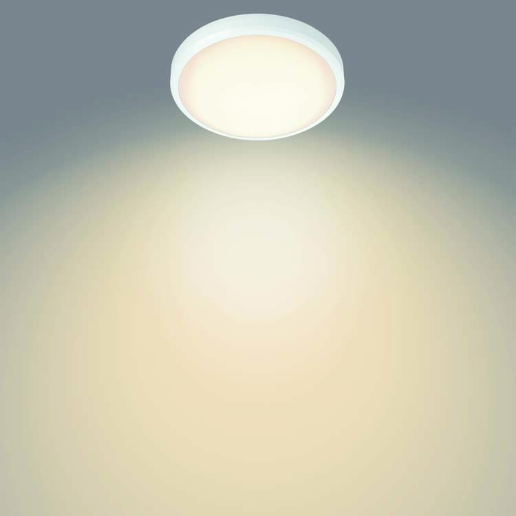 Plafondlamp Wit 17W 2700K IP44