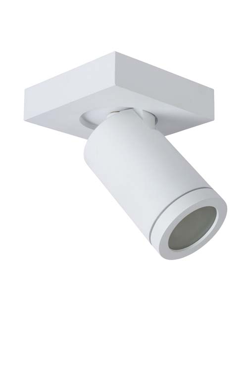 TAYLOR Spot Plafond GU10/5W IP44 DTW  Blanc
