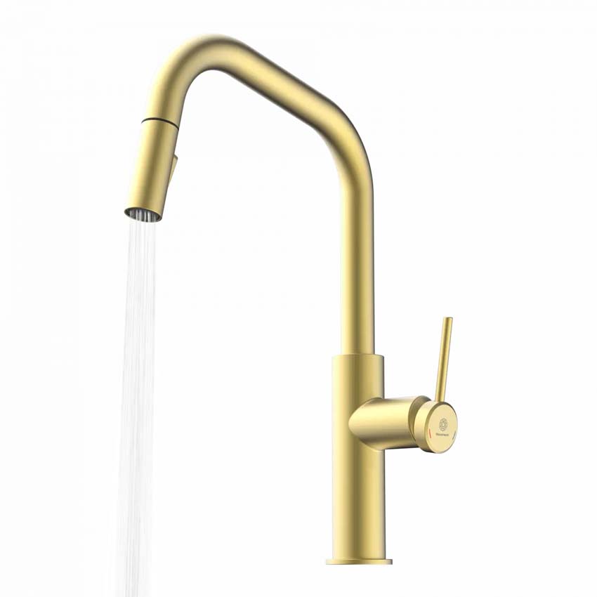 Robinet de cuisine Wasserwerk WK 13 Edge or mat avec bec extractible