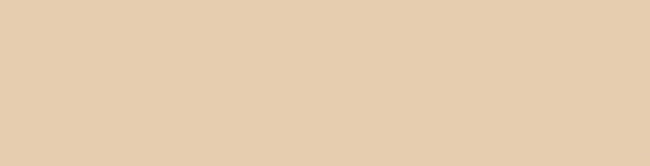 Silicones Pro 132 beige 310ml Mapei