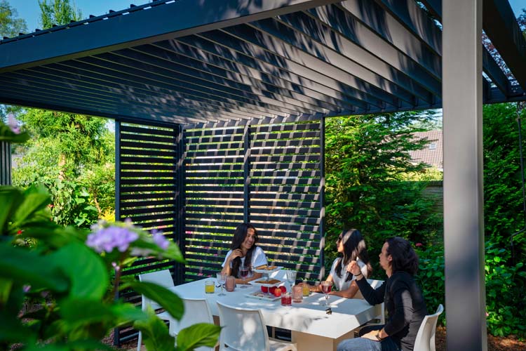 Panneau d'ambiance lamelles pour pergola anthracite 0,93x2,38m manuel