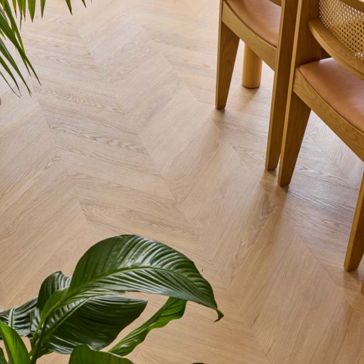 Blind Gekocht Oelegem