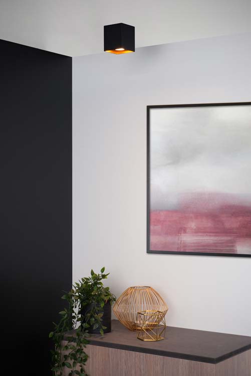 Plafondlamp - zwart/rood - vierkant - GU10 - 50W