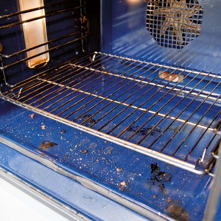 HG nettoyant four, grill et barbecue 0,5l