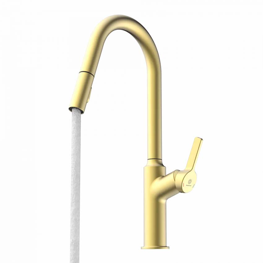 Robinet de cuisine Wasserwerk WK 12 or mat avec bec extractible