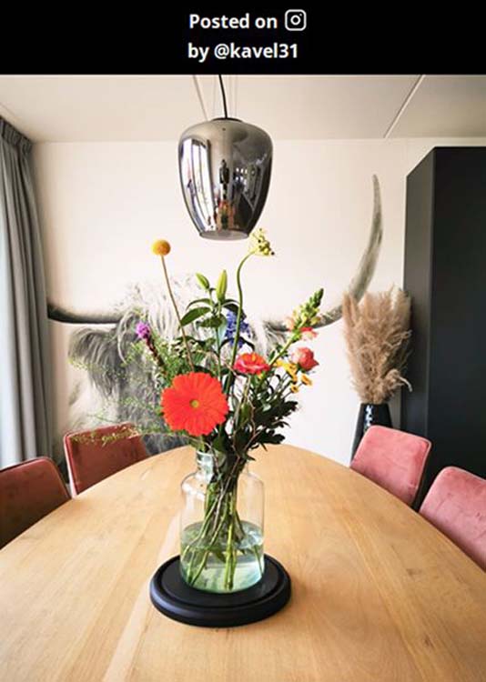 Lucide FLORIEN - Hanglamp - Ø 28 cm - E27 - Fumé