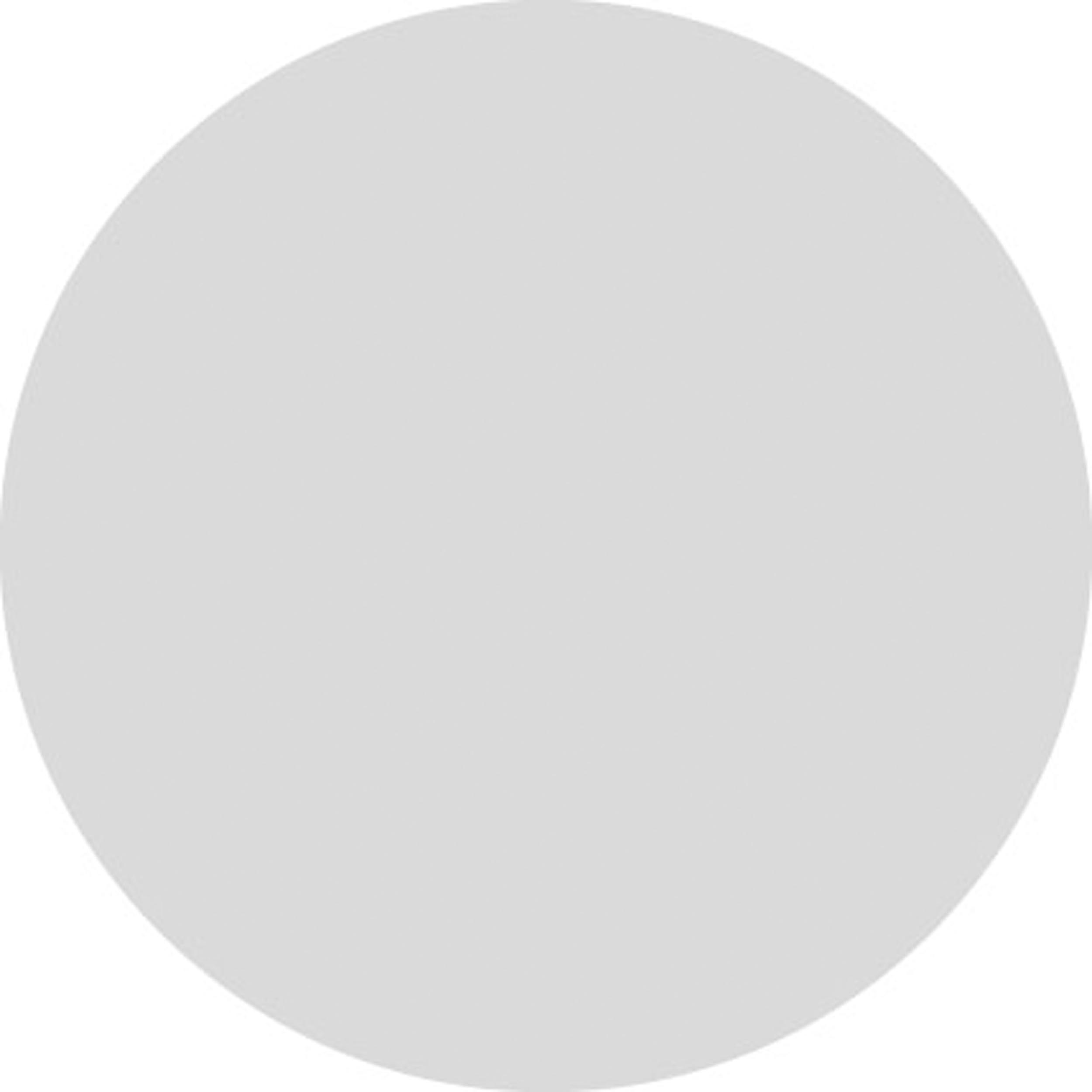 Glas rond mat 298mm dikte 4mm