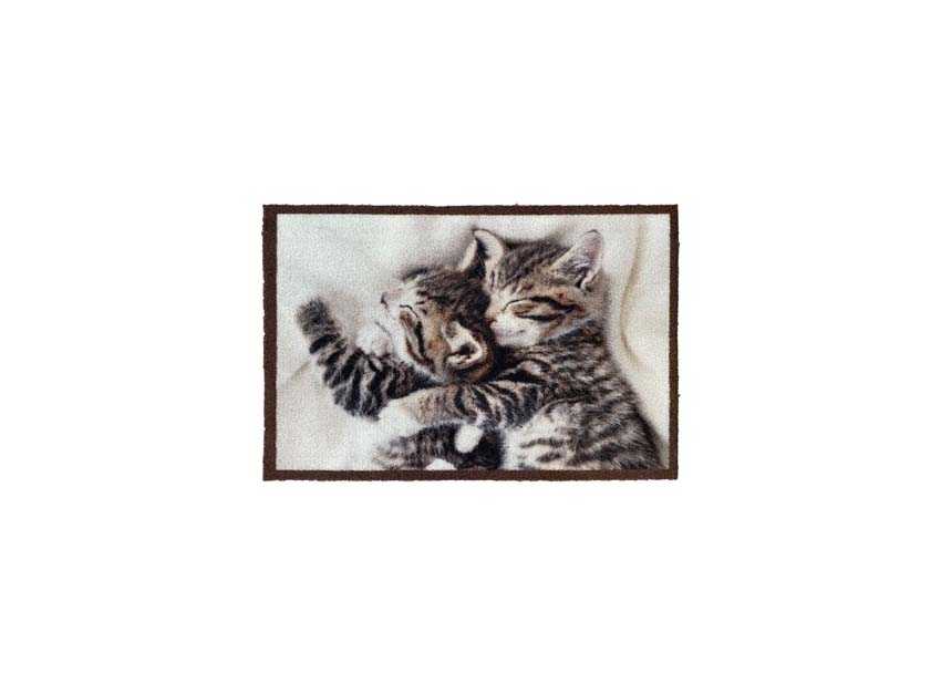 Paillasson atrium cuddle chatons 40x60cm