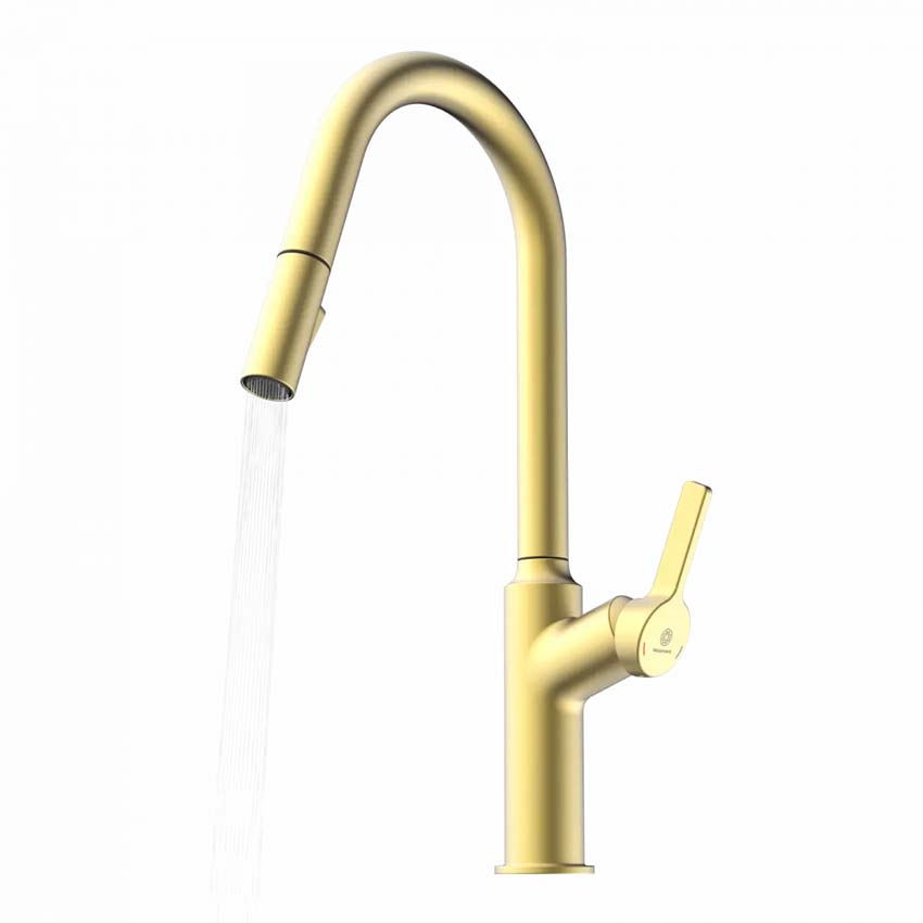 Robinet de cuisine Wasserwerk WK 12 or mat avec bec extractible